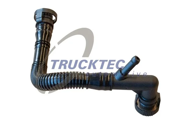 Hose, crankcase ventilation
